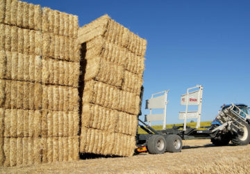 11-ARCUSIN-AUTOSTACK-BALE-CHASER-STACKER-WAGON-REMOLQUE-PACAS-APILADOR 11-ARCUSIN-AUTOSTACK-BALE-CHASER-STACKER-WAGON-REMOLQUE-PACAS-APILADOR